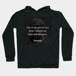 Seneca's Perspective: The Proliferation of Fears Versus True Dangers Hoodie